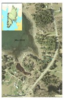 Mill Cove Concept